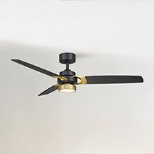 Ceiling Fans